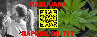 apvp Моздок