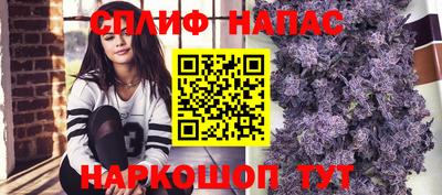 apvp Моздок