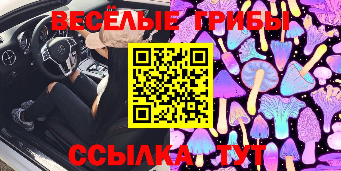 Псилоцибиновые грибы MAGIC MUSHROOMS  Вход с VPN  Псилоцибиновые грибы Cubensis  Сертолово 
